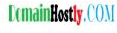 DomainHostly logo